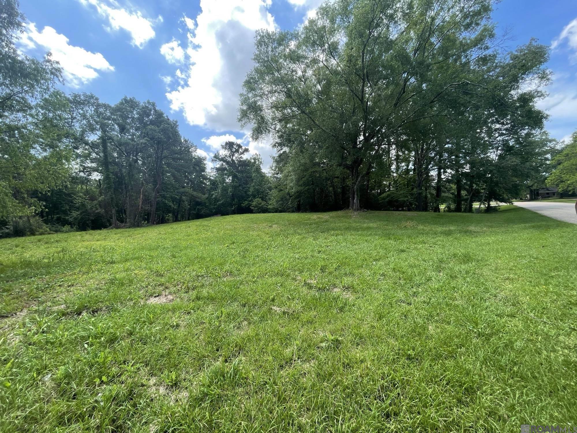 9606 Shady Bluff Dr, Baton Rouge, Louisiana image 2