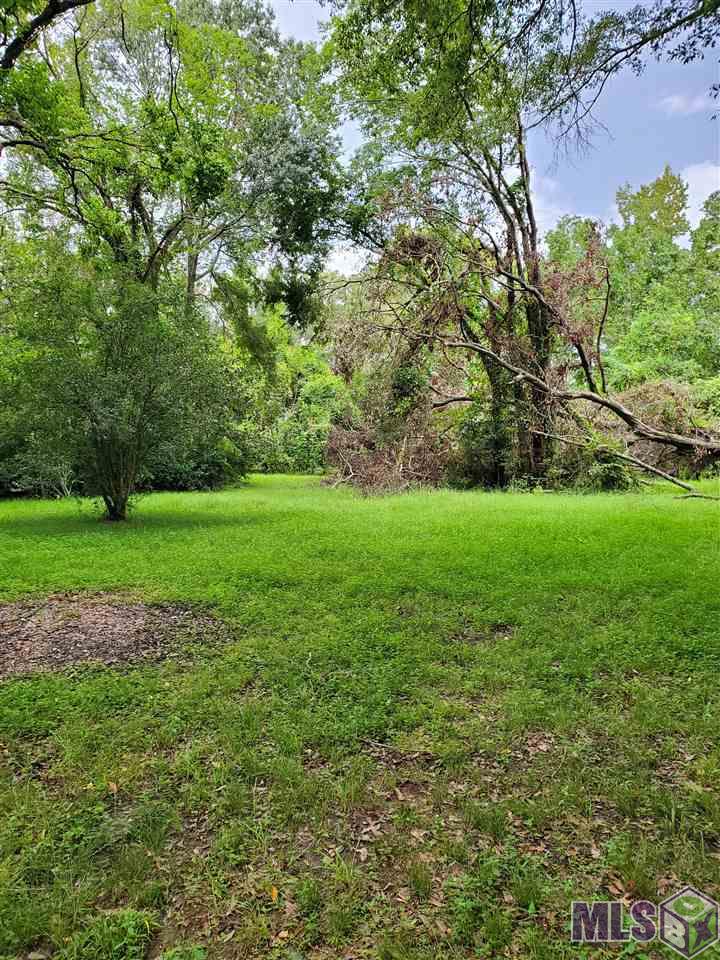 31460 La Hwy 16, Denham Springs, Louisiana image 4