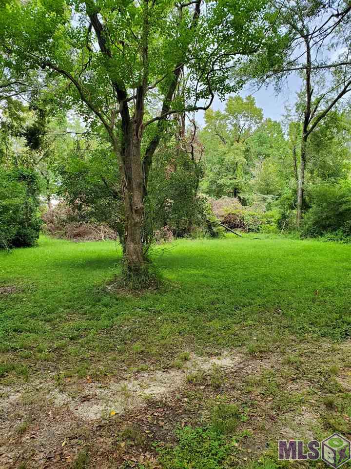 31460 La Hwy 16, Denham Springs, Louisiana image 3