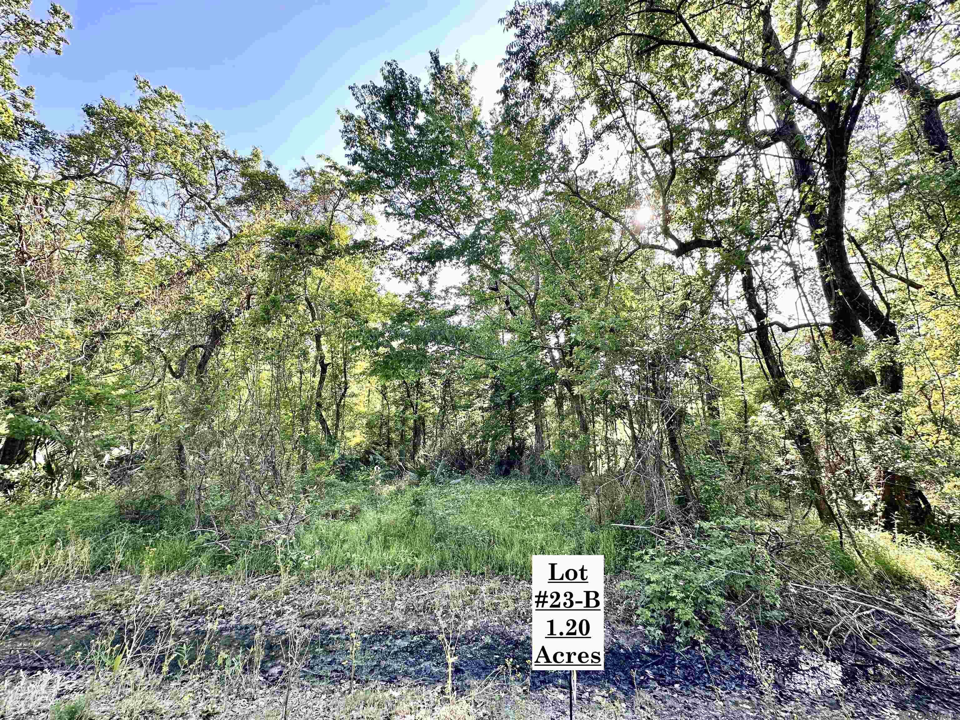Lot #23-B Summerfield South Rd, Prairieville, Louisiana image 1