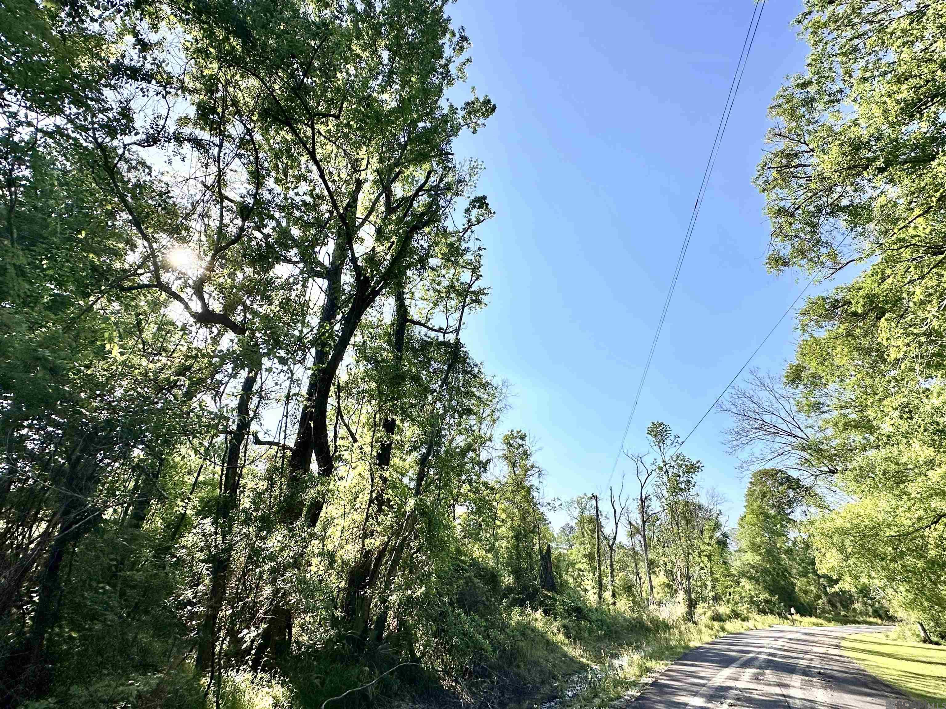 Lot #23-B Summerfield South Rd, Prairieville, Louisiana image 4