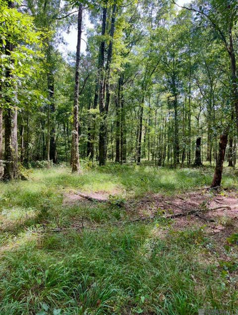 Vacant Land For Sale - J.h. Jenkins Ln<br/> Denham Springs, LA 70706