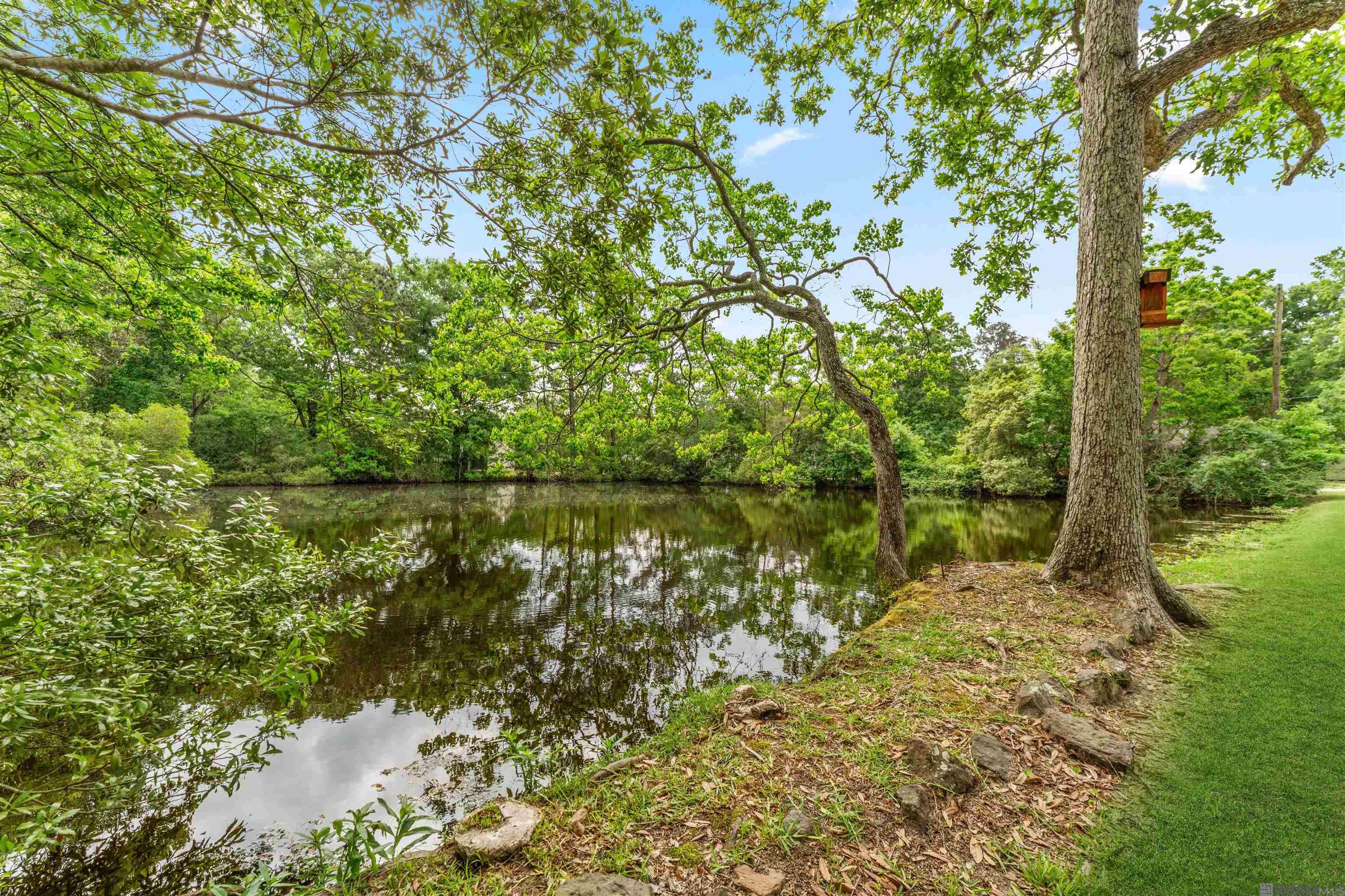26526 Debra Dr, Denham Springs, Louisiana image 32