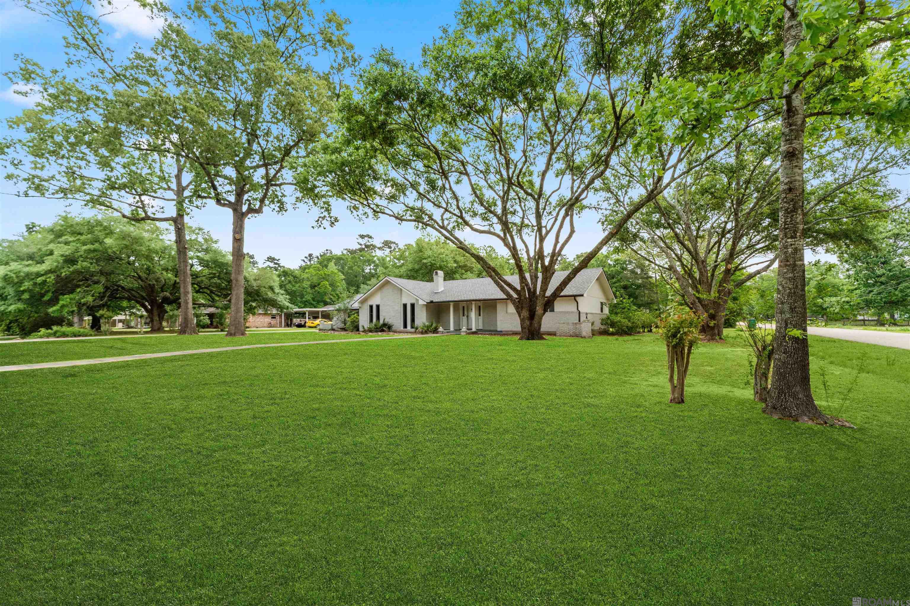 26526 Debra Dr, Denham Springs, Louisiana image 4