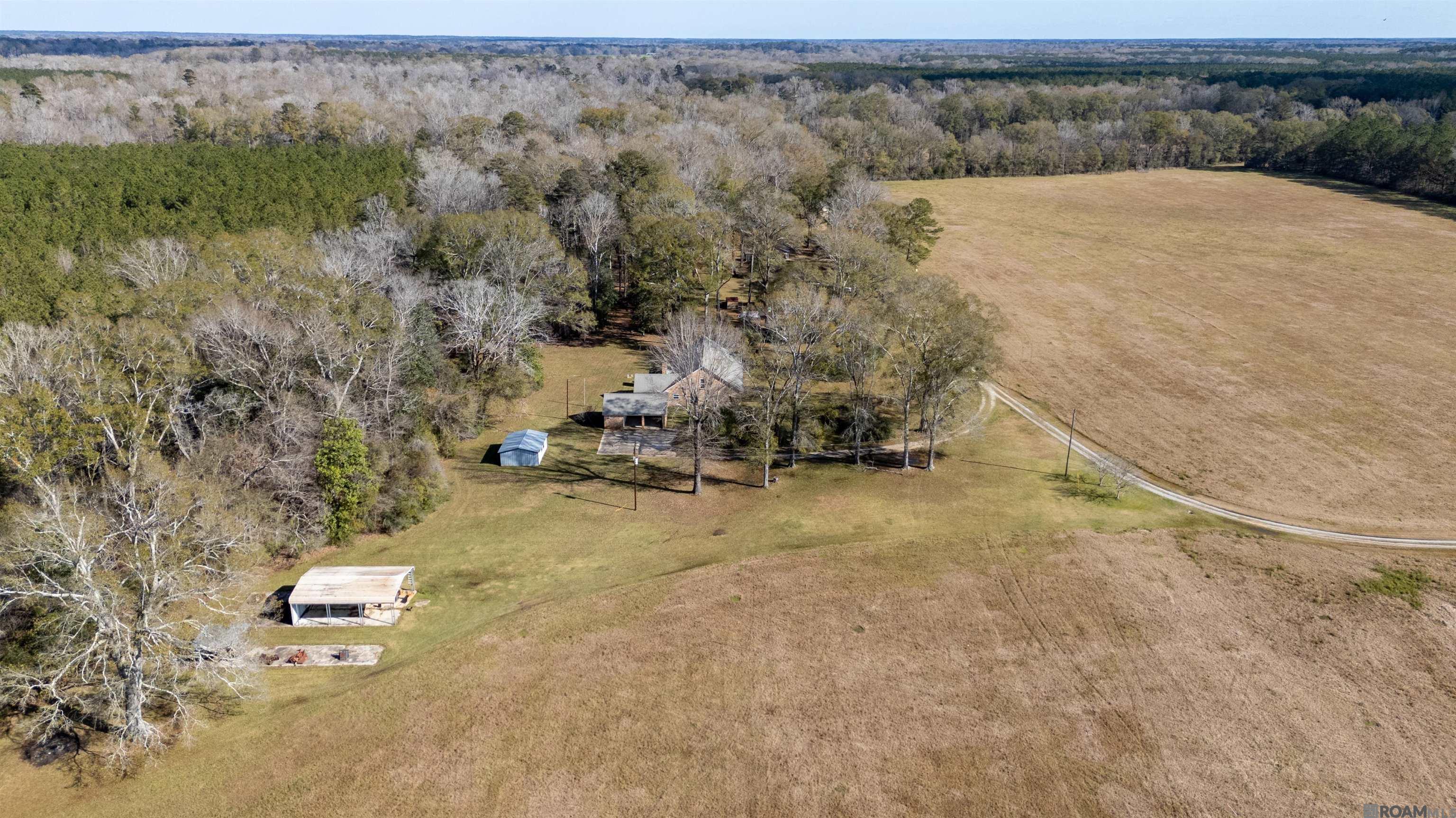 810 Lemon B Rd, Slaughter, Louisiana image 28