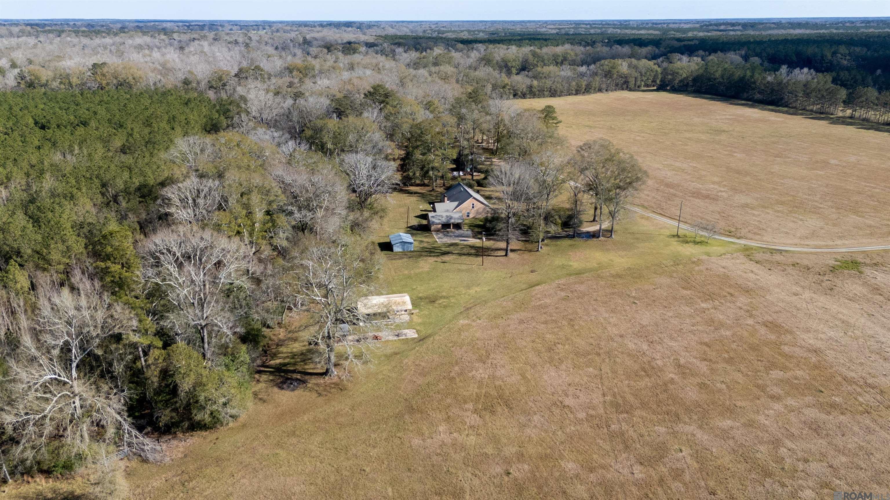 810 Lemon B Rd, Slaughter, Louisiana image 27