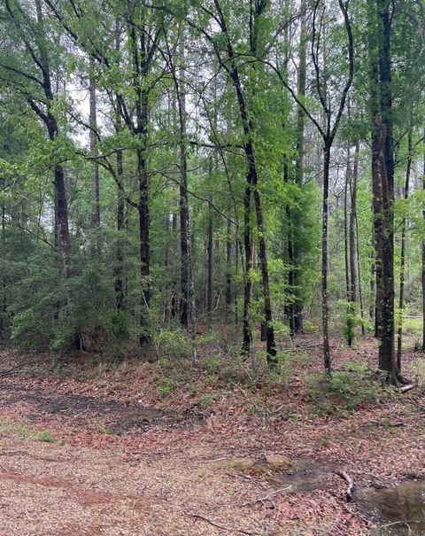 Vacant Land For Sale - TBD TRACT 5 Pride-baywood Rd<br/> Pride, LA 70770