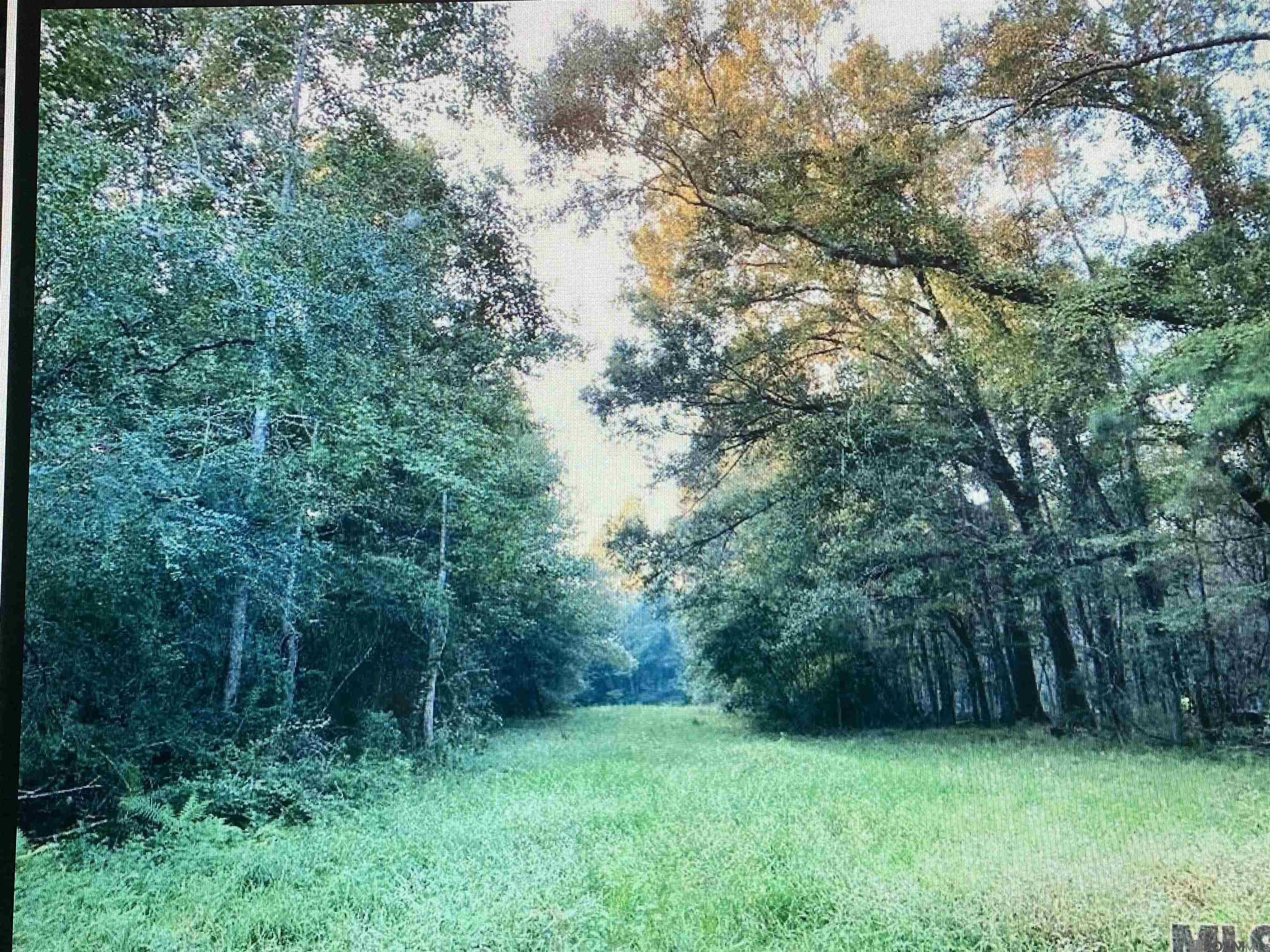 5901 Line Rd, Ethel, Louisiana image 2