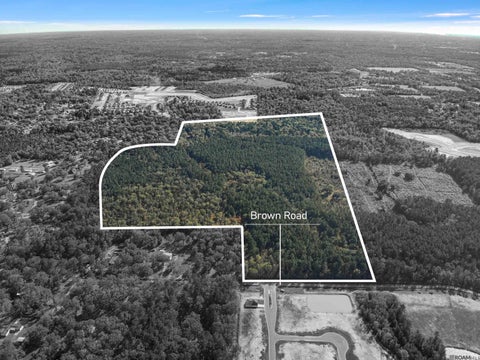 Vacant Land For Sale - 141.35 ACRES Brown Rd<br/> Denham Springs, LA 70726