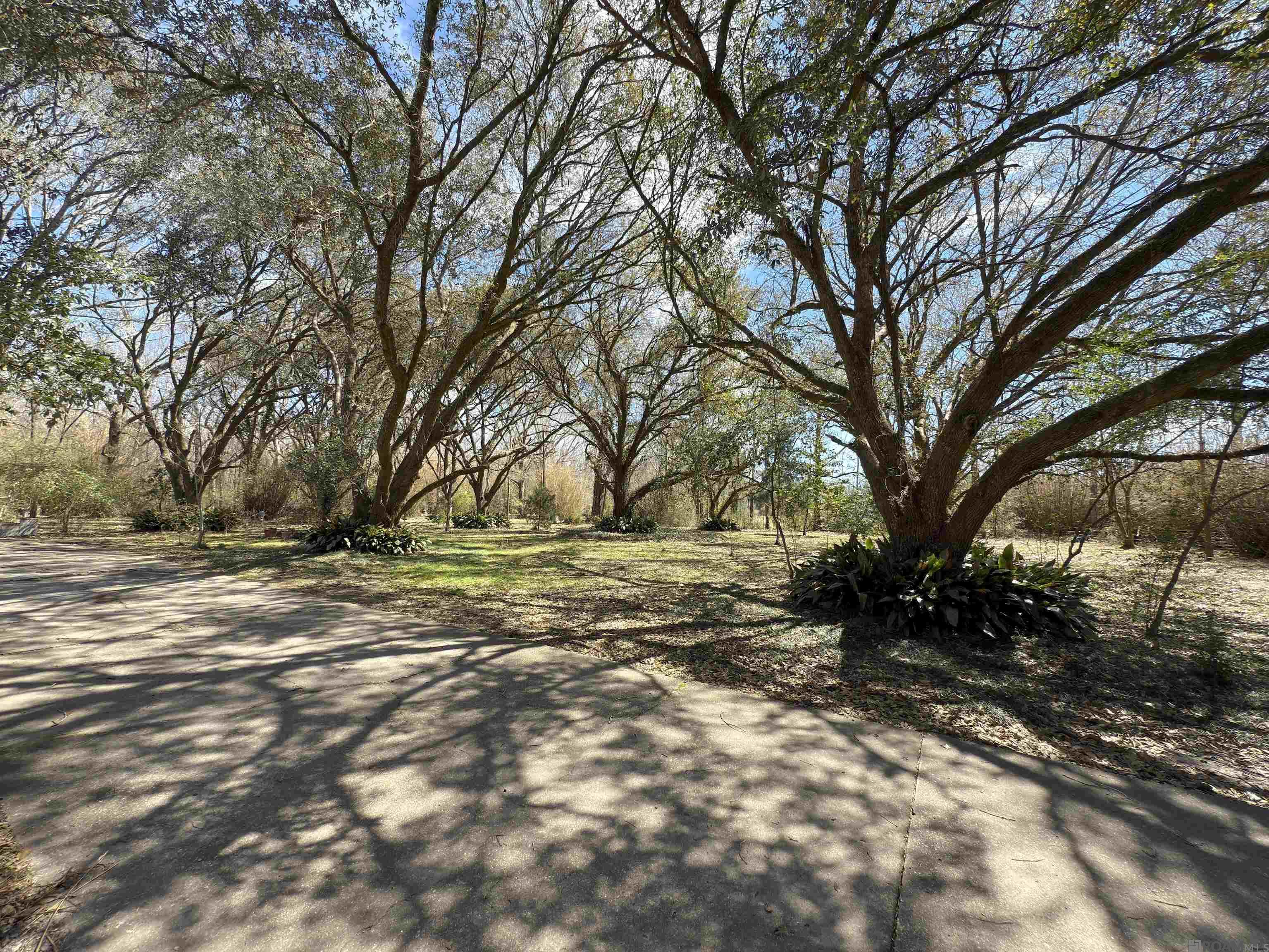 10116 Carmel Dr, Baton Rouge, Louisiana image 2