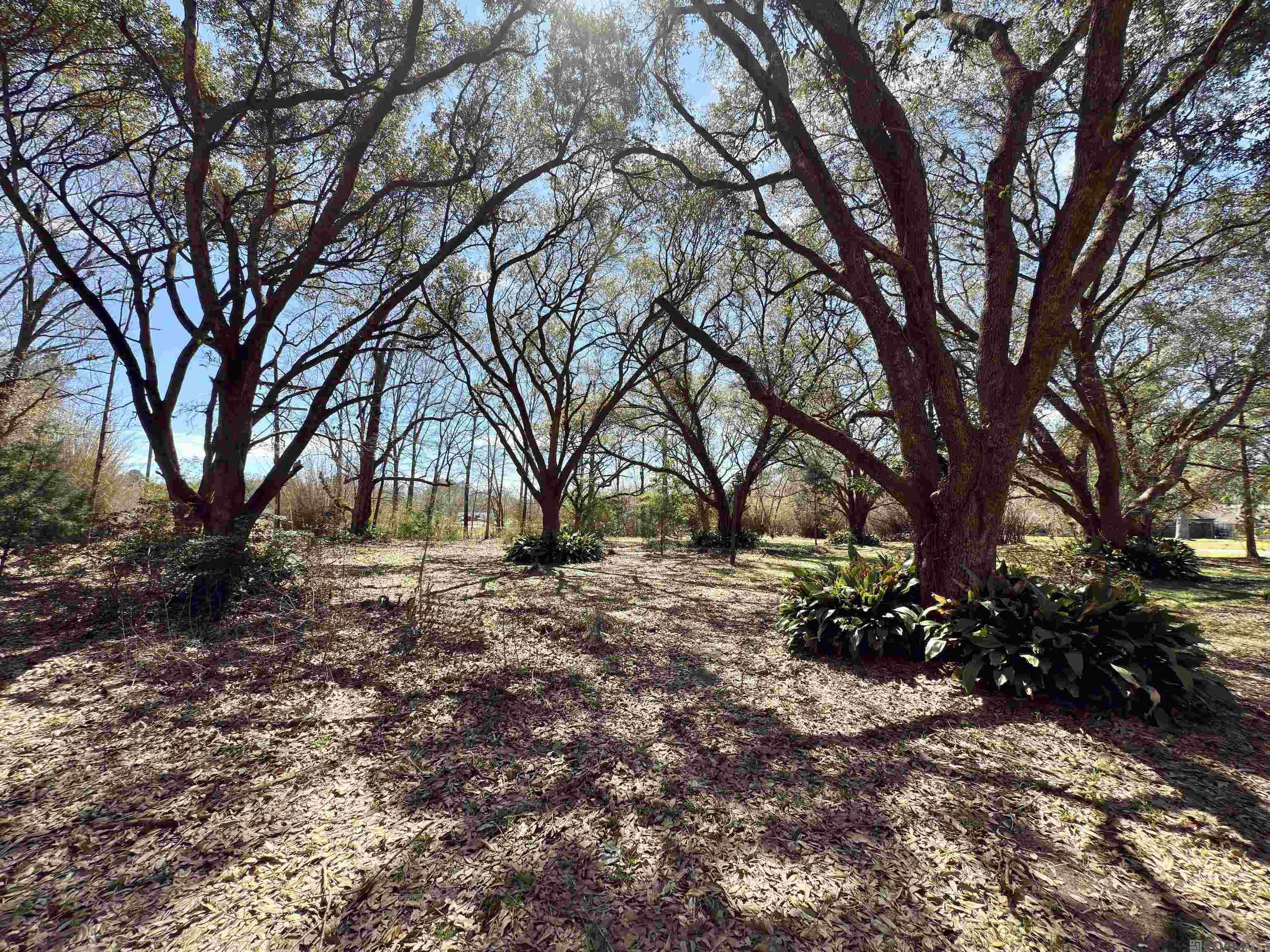 10116 Carmel Dr, Baton Rouge, Louisiana image 1