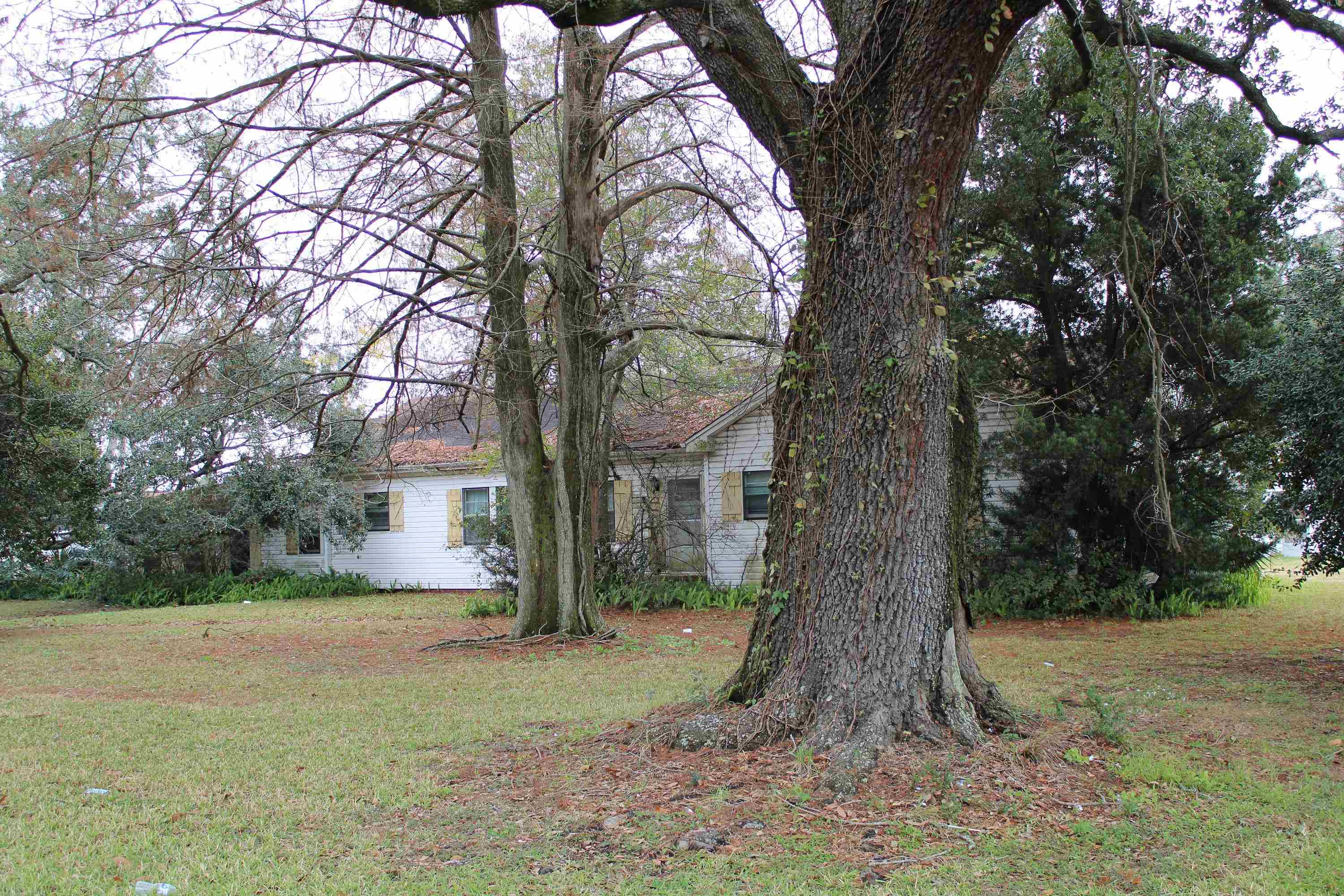 1137 Grand Caillou Road, Houma, Louisiana image 5