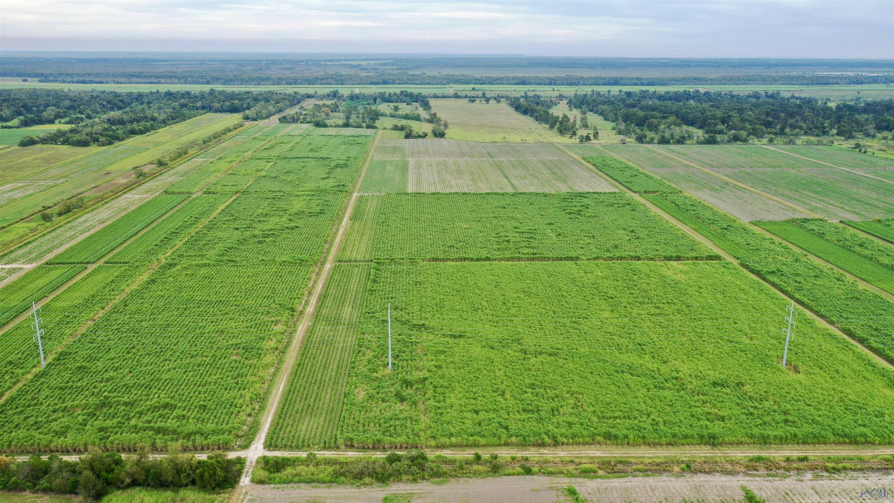 La Hwy 308, Lockport, Louisiana image 3