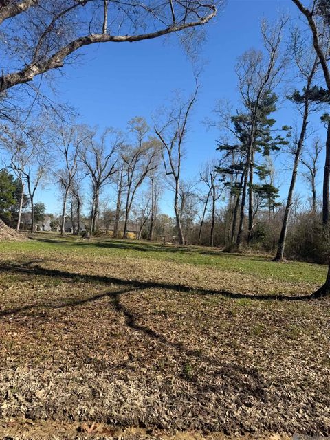 Vacant Land For Sale - 20316 Sophia Noel Dr<br/> Springfield, LA 70462