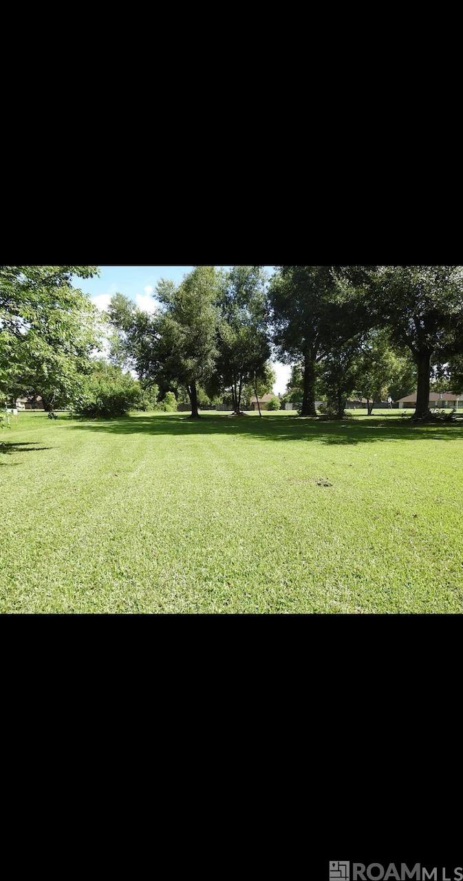 37037 John St, Geismar, Louisiana image 19