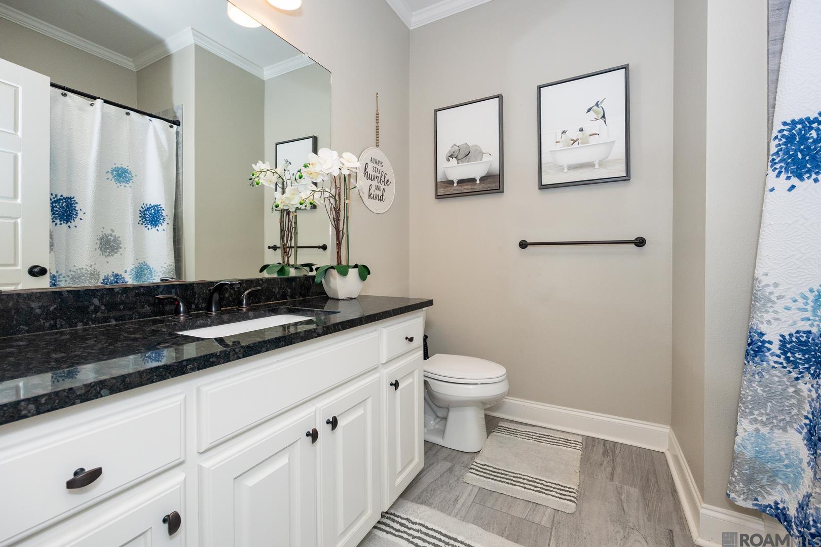 17151 Ledgestone Dr, Prairieville, Louisiana image 18