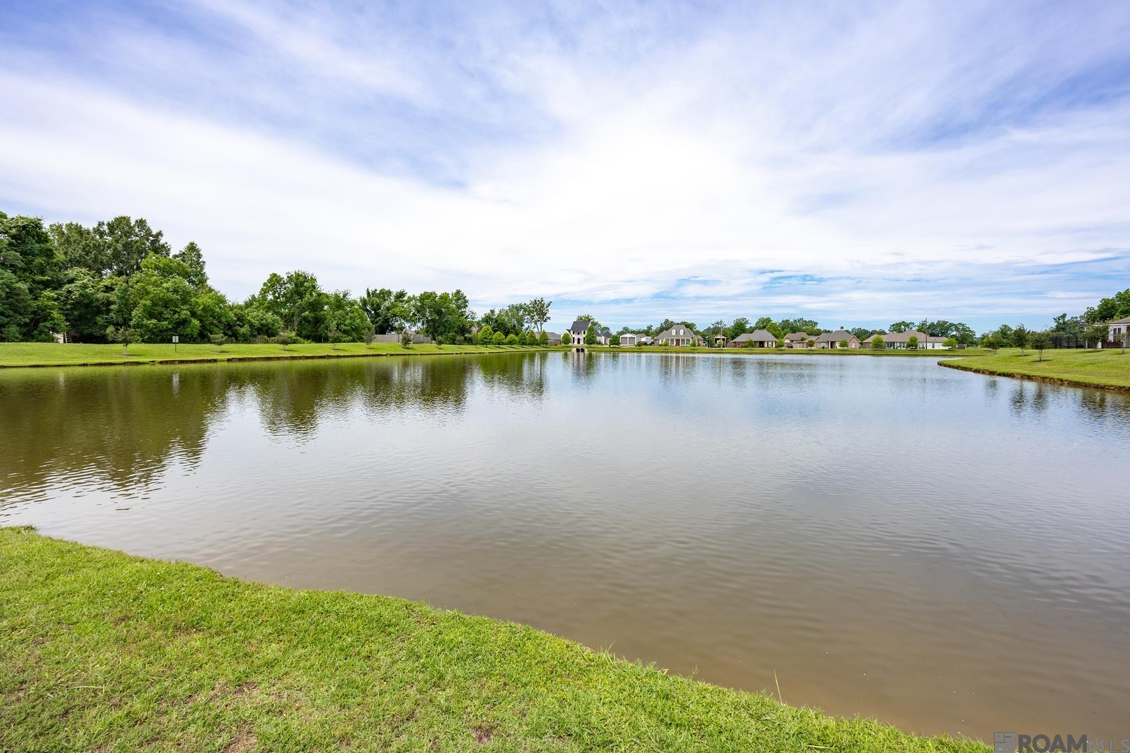17151 Ledgestone Dr, Prairieville, Louisiana image 27