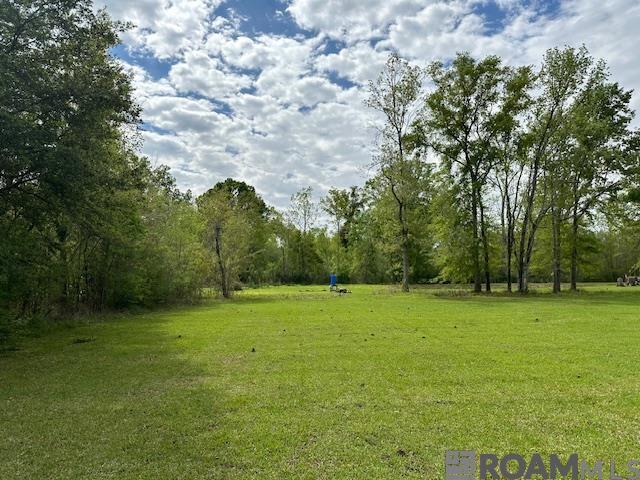 38365 La Ritz Rd, Prairieville, Louisiana image 1