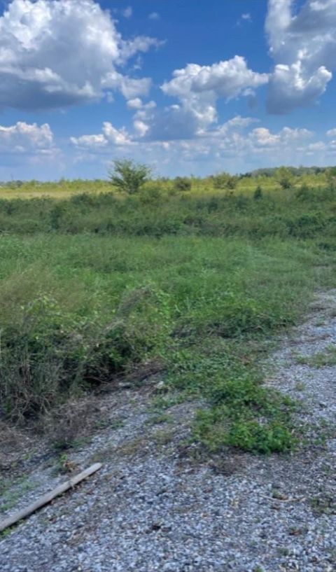 Vacant Land For Sale - 479 Highway 317<br/> Centerville, LA 70522