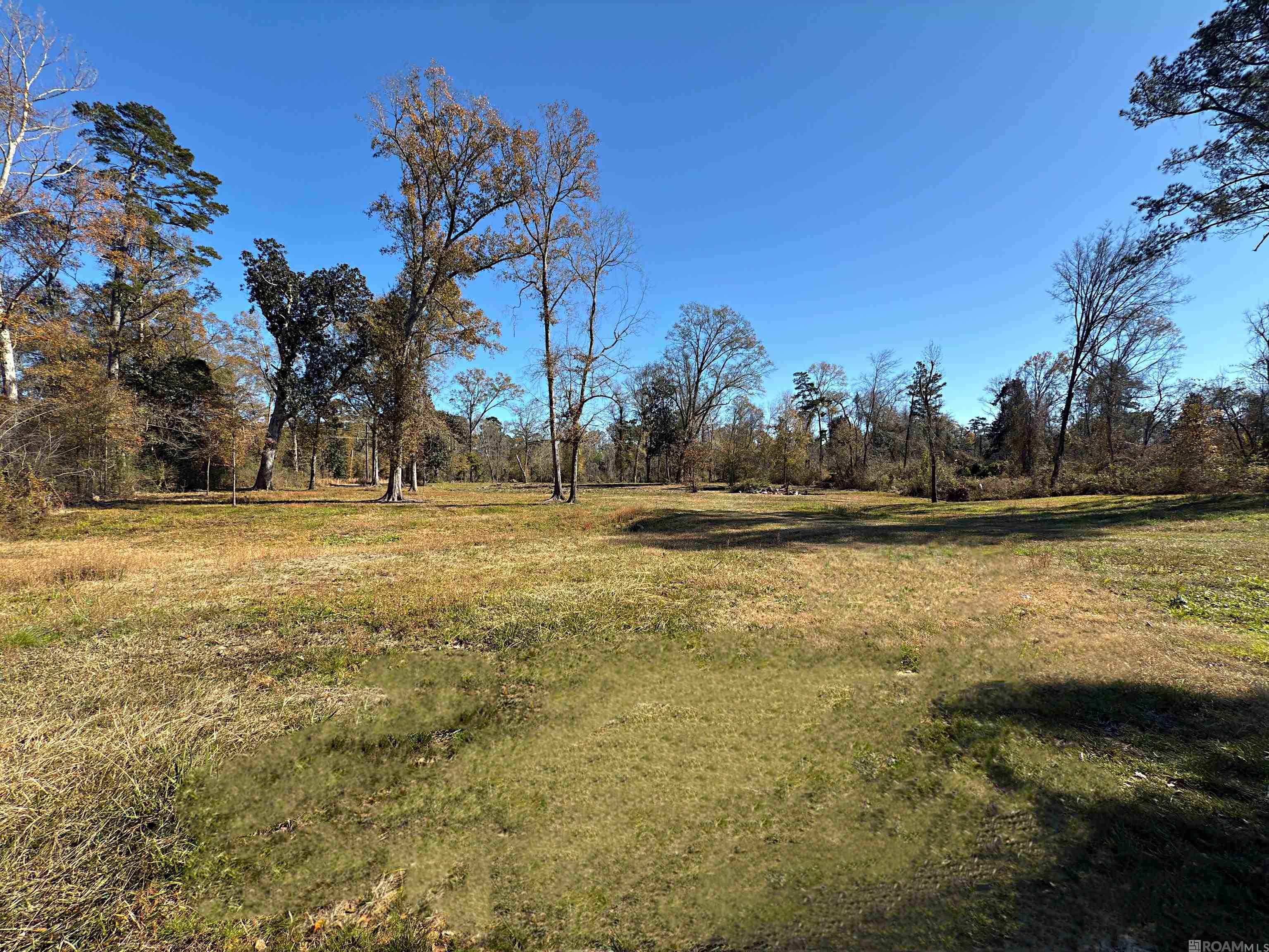 23500 Hills Rd, Holden, Louisiana image 27