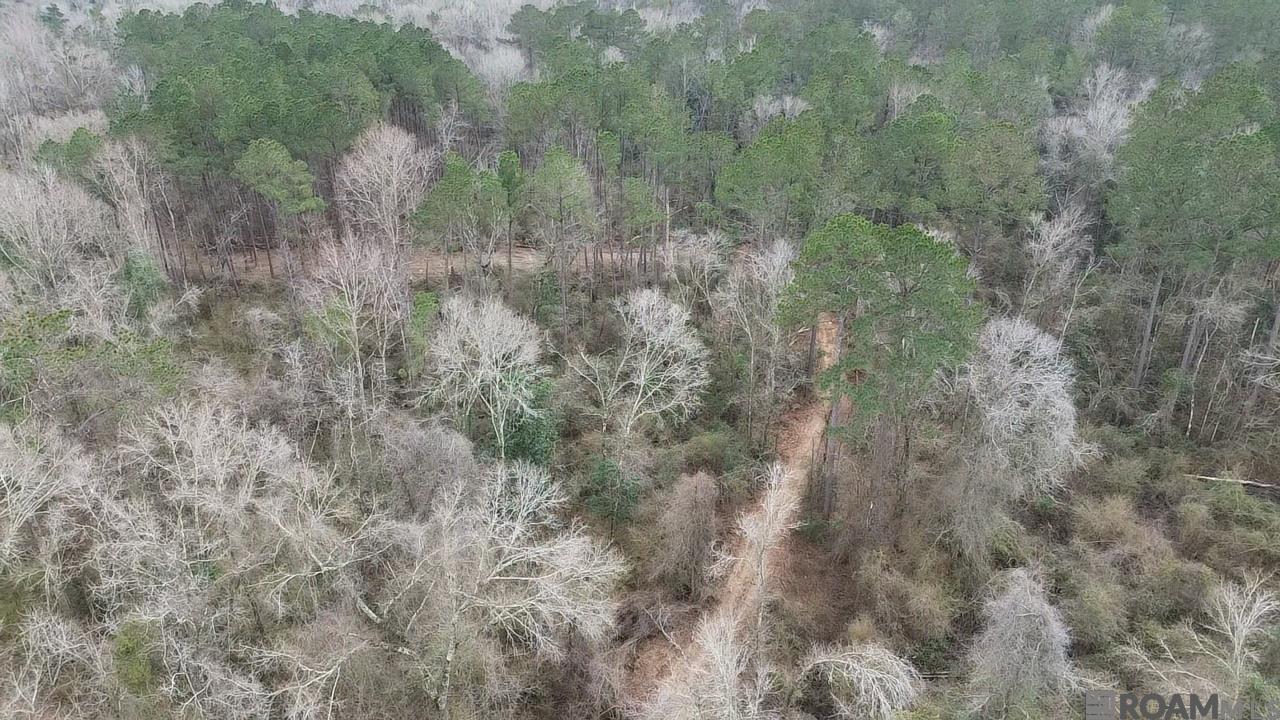 Tract 2-A Bryce Hyde Rd, Roseland, Louisiana image 10