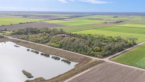 Vacant Land For Sale - TBD Highway 1011<br/> Napoleonville, LA 70390
