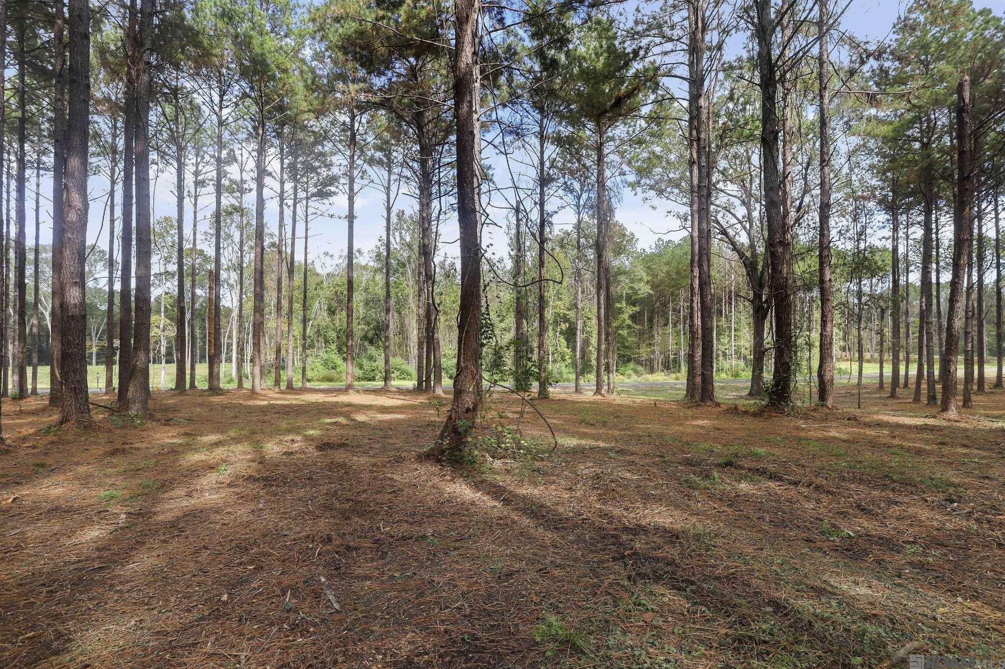 80114 Rosemary Lane, Saint Francisville, Louisiana image 7