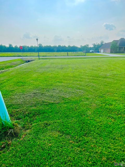 Vacant Land For Sale - 4850 Avery Grace Blvd<br/> Addis, LA 70710