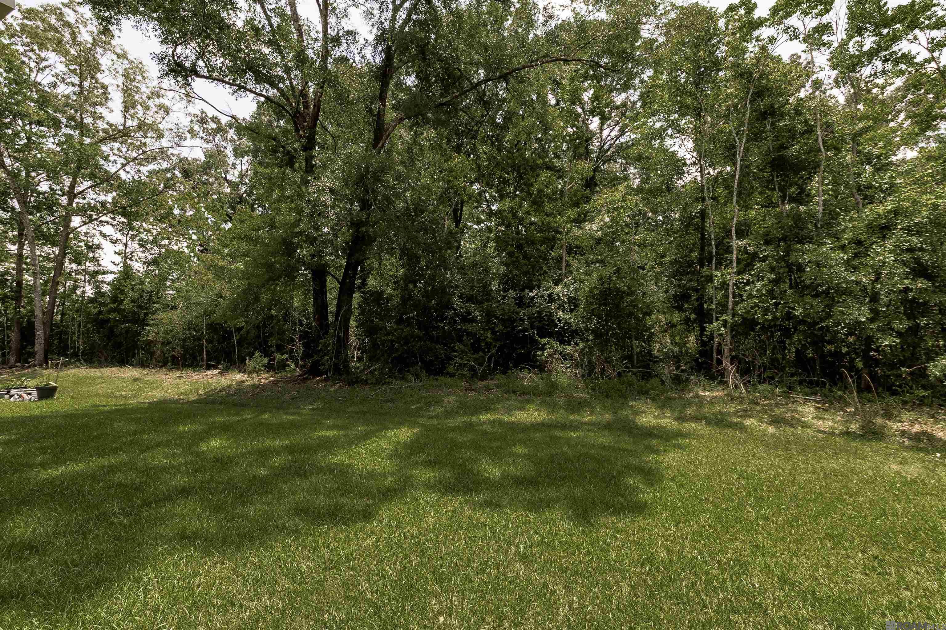 1832 Marshall Jones Sr Ave, Zachary, Louisiana image 6
