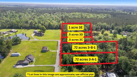 Vacant Land For Sale - Zara Sage Rd<br/> Walker, LA 70785
