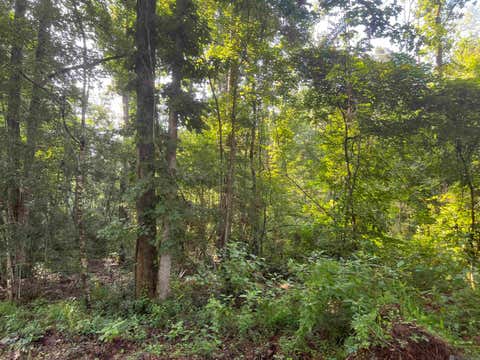 Vacant Land For Sale - LOT 3 Hepzibah Rd<br/> Clinton, LA 70722