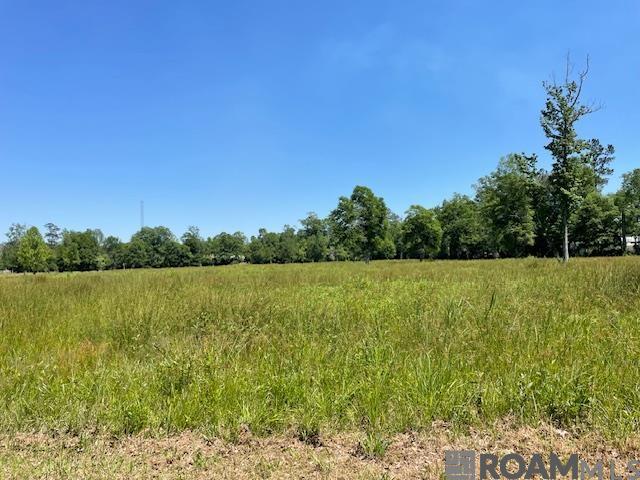 30054 N Range Rd, Livingston, Louisiana image 7