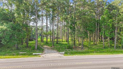 Vacant Land For Sale - 47405 La Hwy 16<br/> Saint Helena County, Denham Springs, LA 70706
