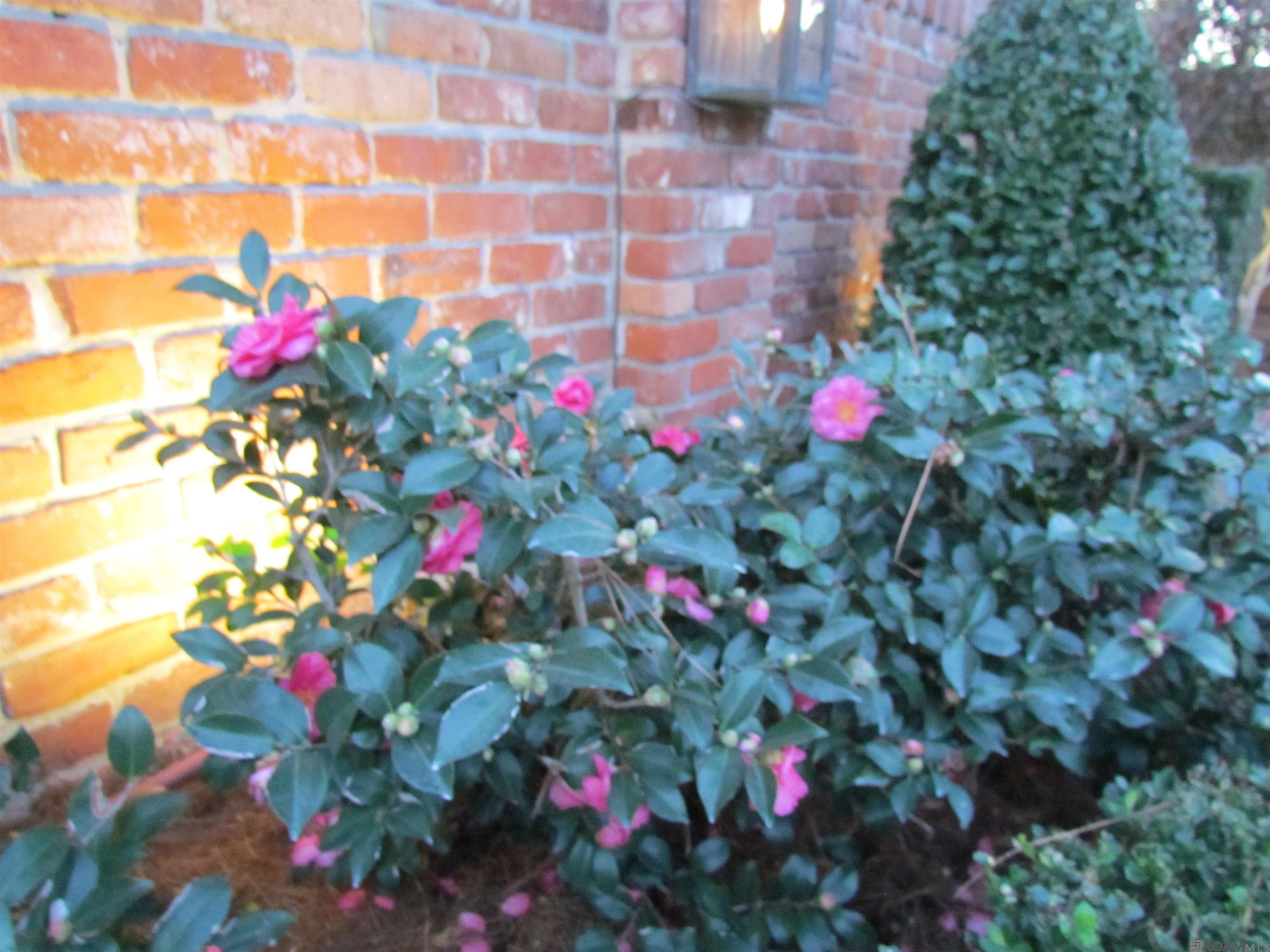 10940 Goodwood Blvd, Baton Rouge, Louisiana image 16