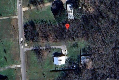 Vacant Land For Sale - 1139 Holly Dr<br/> Slaughter, LA 70777
