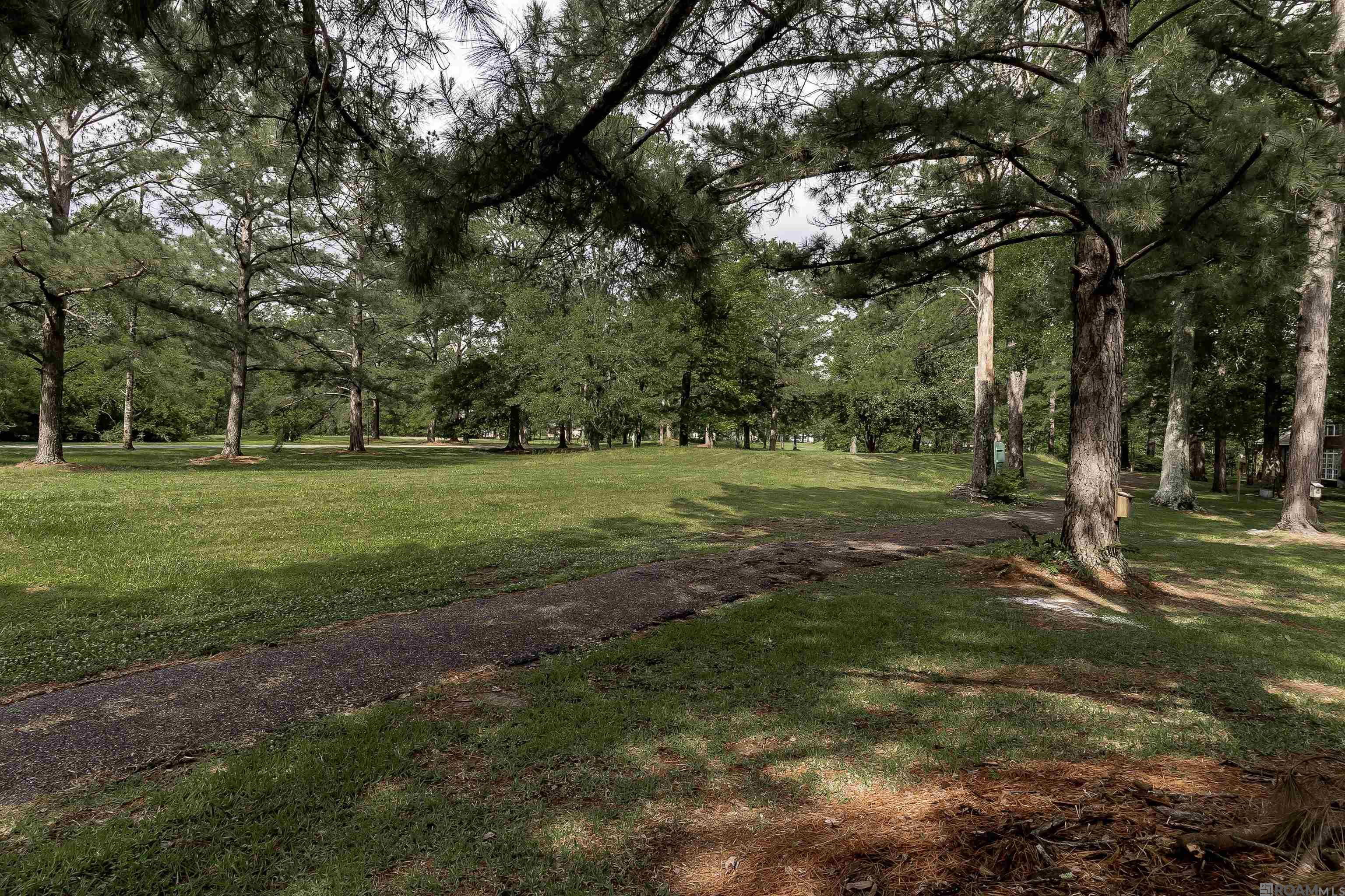 6094 Beechgrove Ln, Saint Francisville, Louisiana image 20