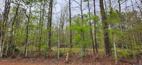 Vacant Land For Sale - LOT A-1 Lod Stafford Rd<br/> Walker, LA 70785