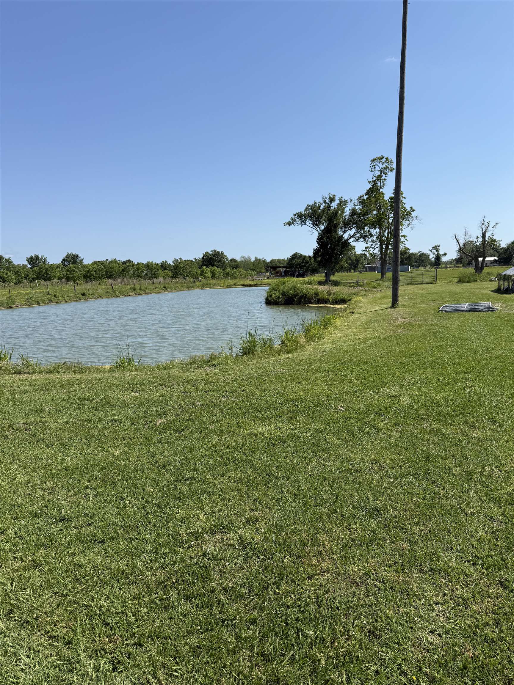 38 Magnolia, Raceland, Louisiana image 3