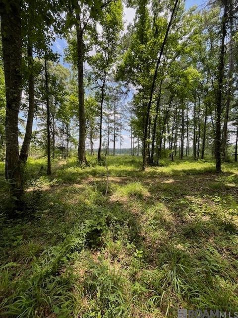 Vacant Land For Sale - J.h. Jenkins Ln<br/> Denham Springs, LA 70706