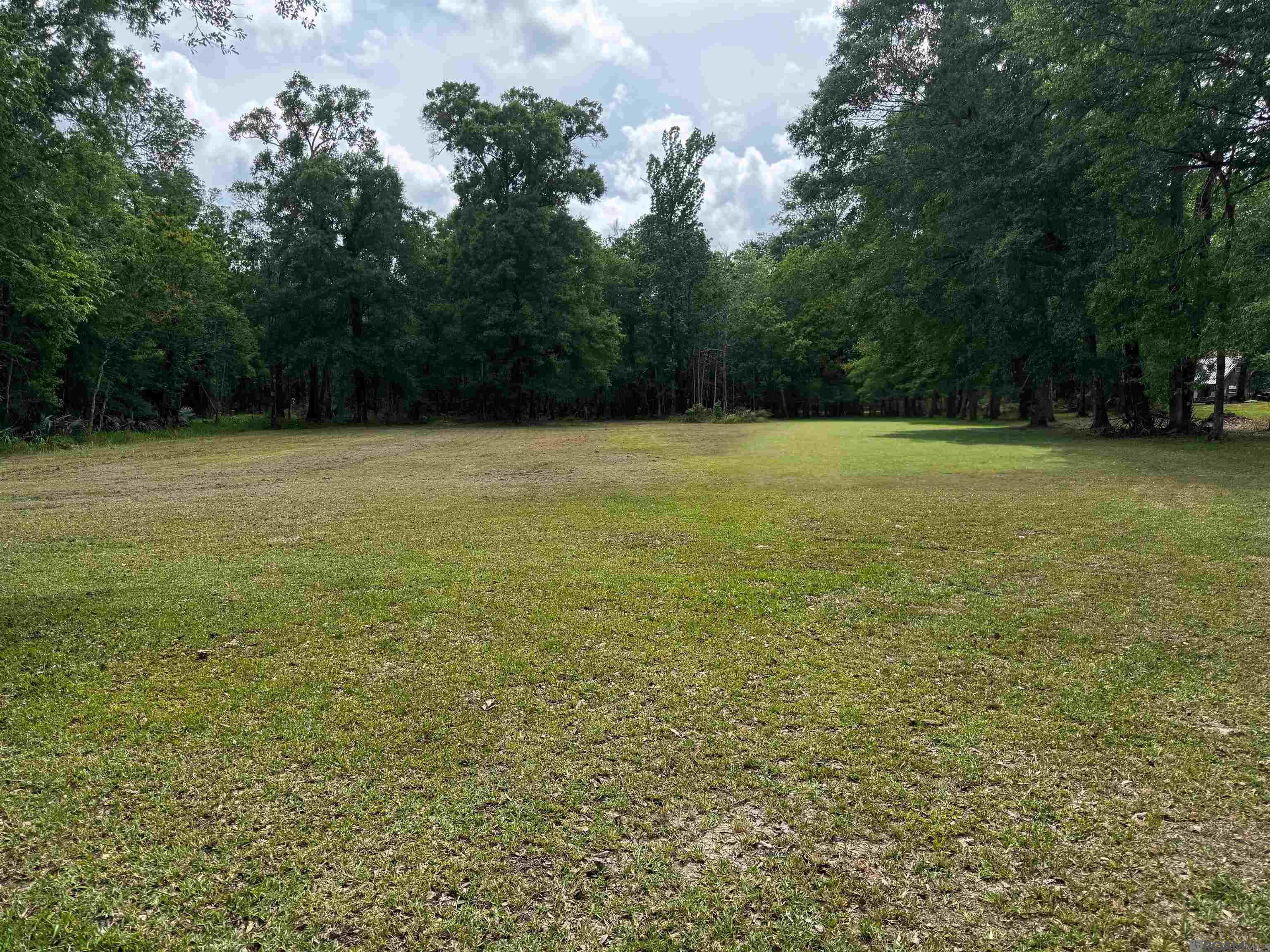 8940 Henderson Rd, Denham Springs, Louisiana image 1