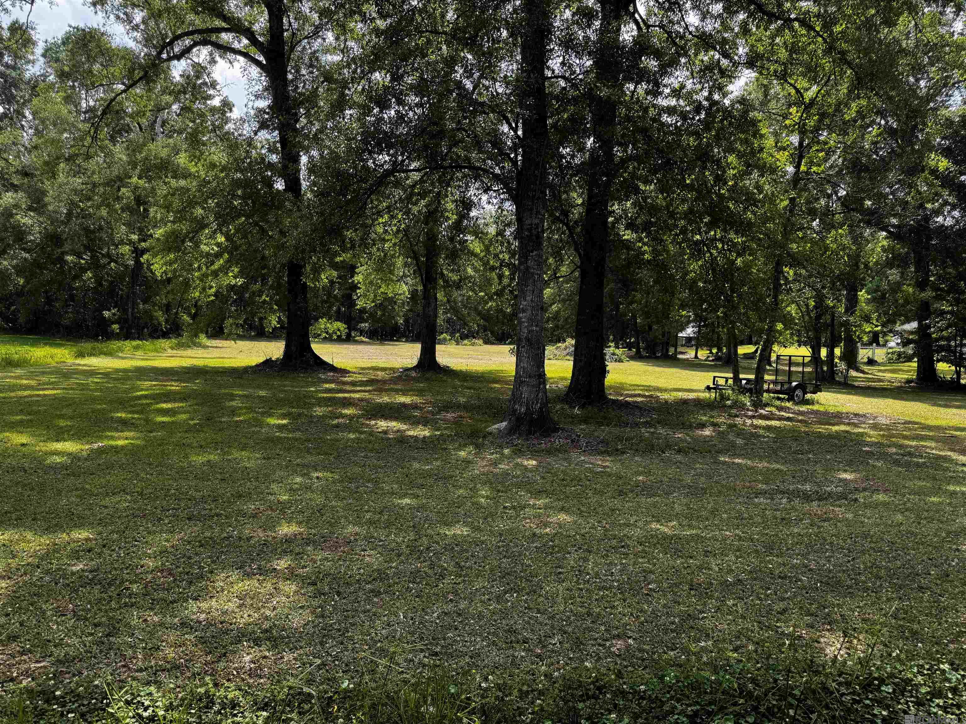 8940 Henderson Rd, Denham Springs, Louisiana image 2