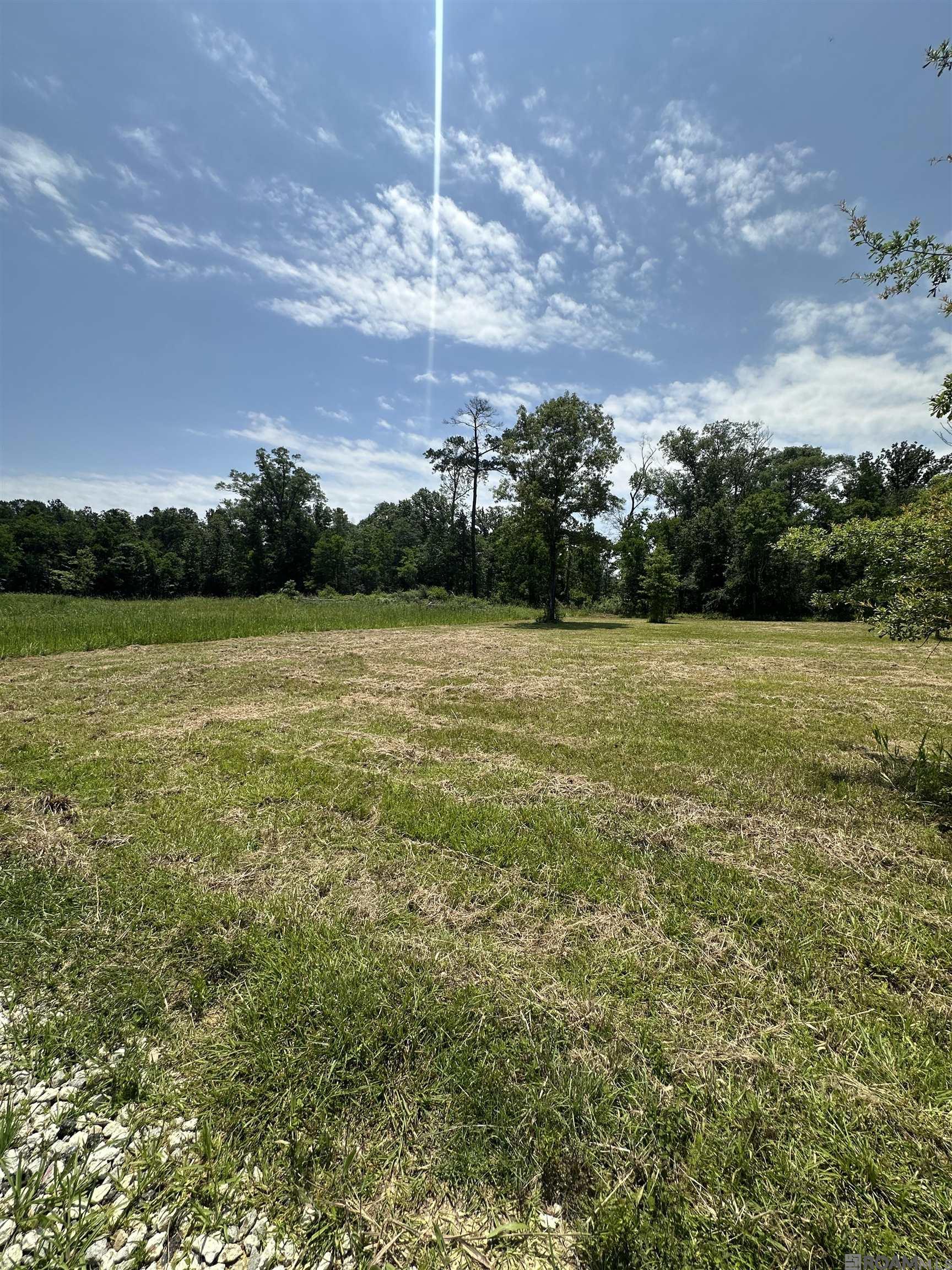 38806 La Hwy 16, Denham Springs, Louisiana image 7