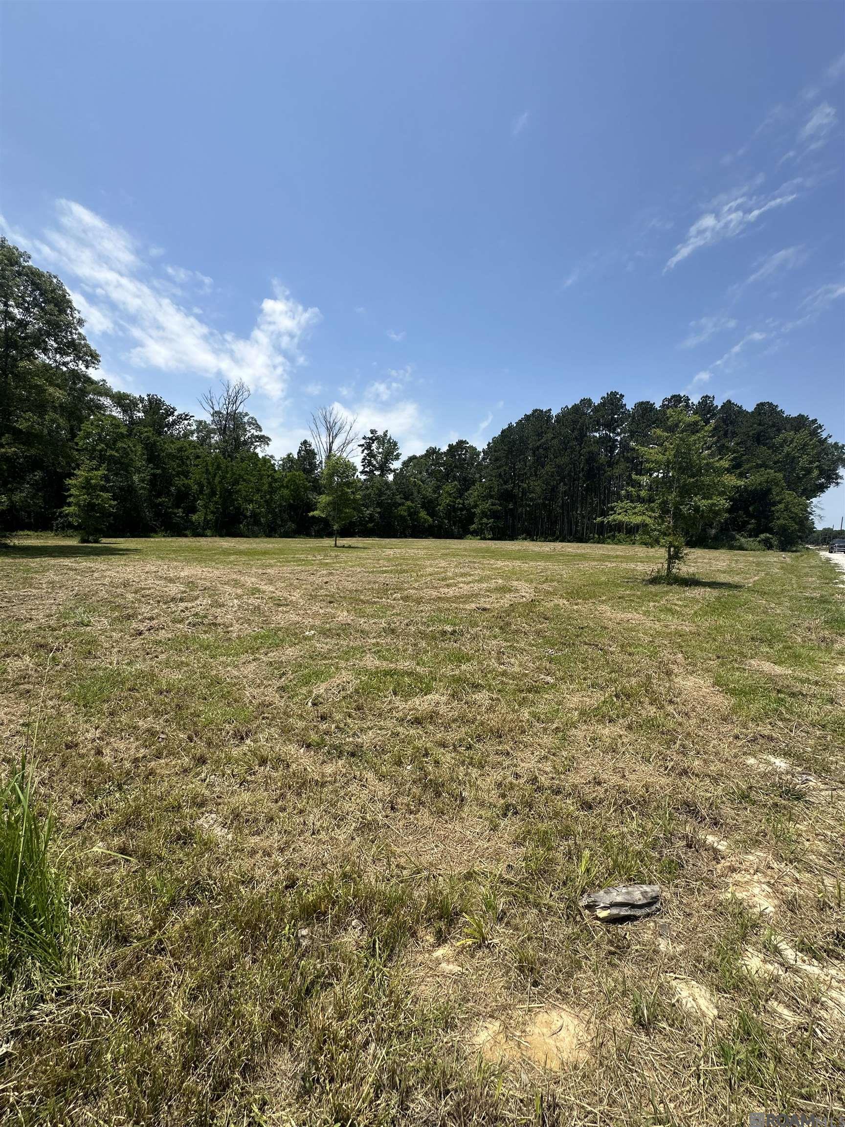 38806 La Hwy 16, Denham Springs, Louisiana image 8