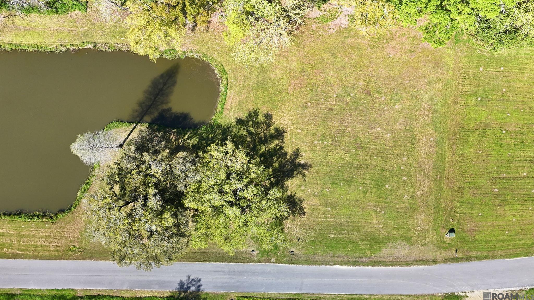 10311 Bayou Crossing - Photo 2
