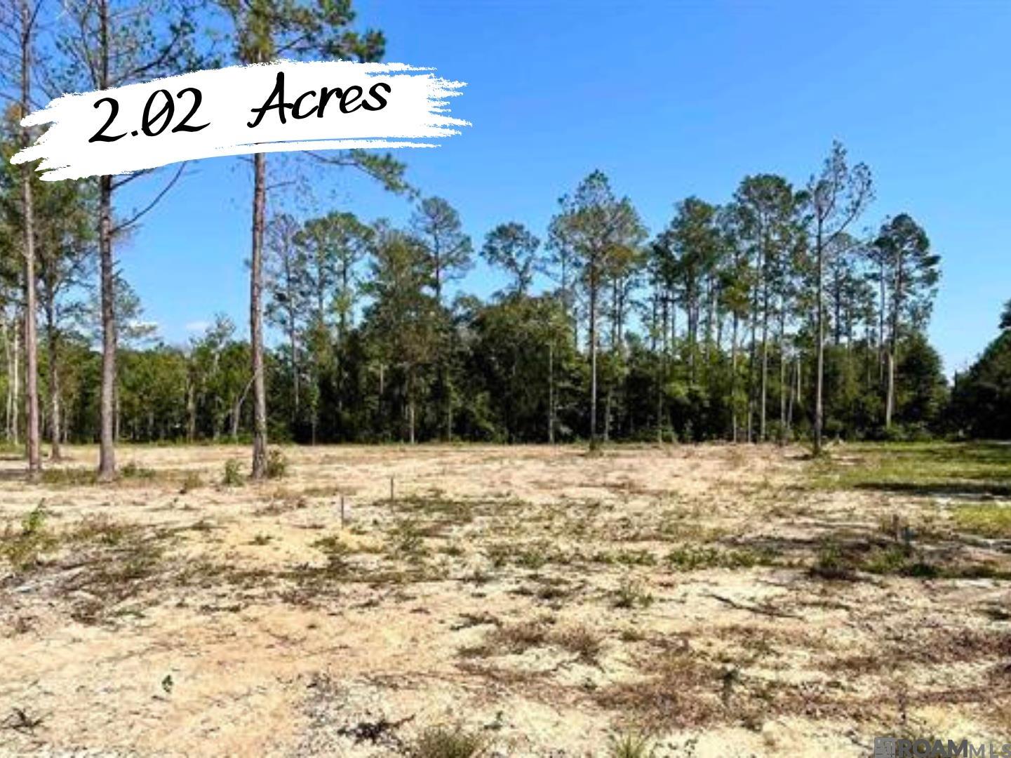 29617 George White Rd, Holden, Louisiana image 1