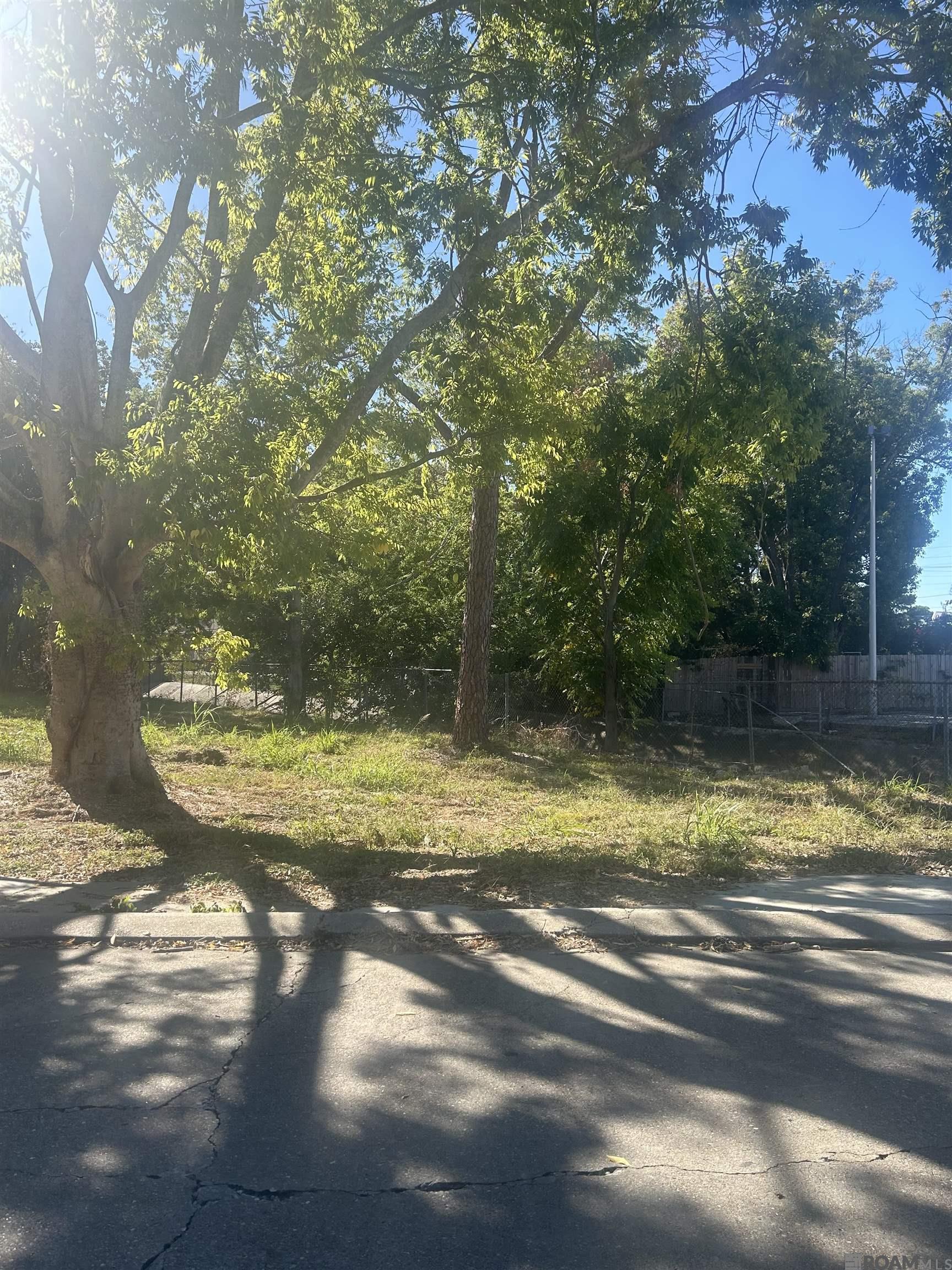 262 E Grant St, Baton Rouge, Louisiana image 2