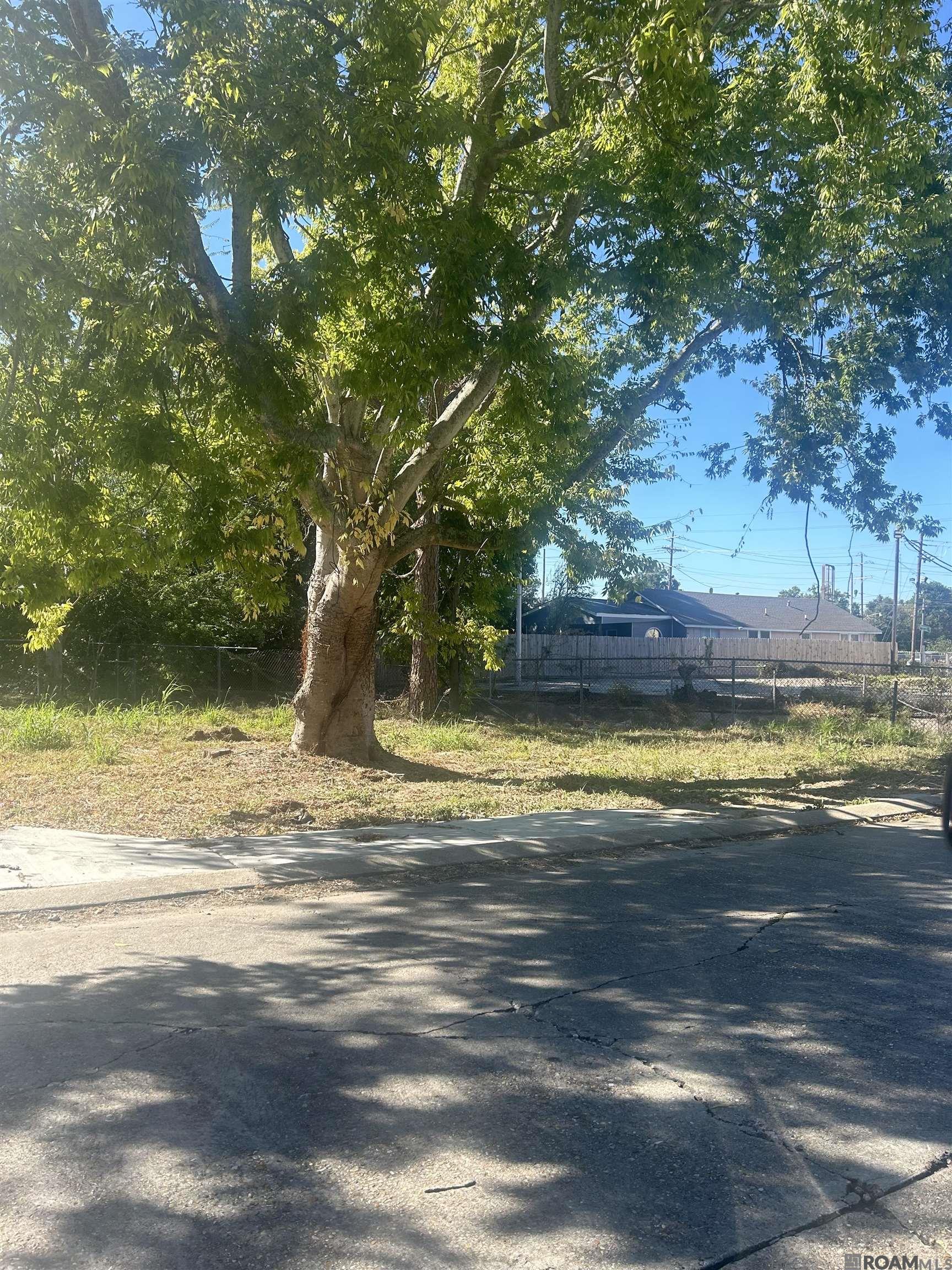 262 E Grant St, Baton Rouge, Louisiana image 3