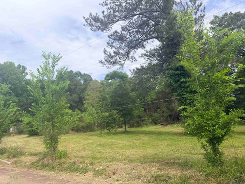 Vacant Land For Sale - 14312 Howard Thomas Road<br/> Walker, LA 70785
