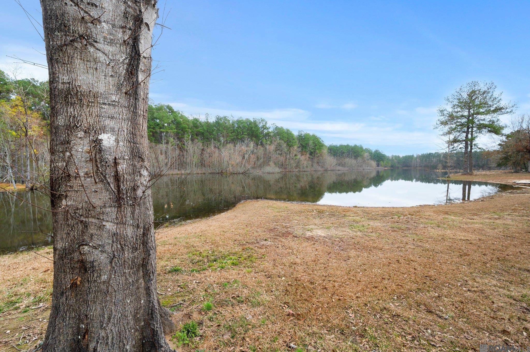 4771 Old Liberty Rd, Clinton, Louisiana image 1