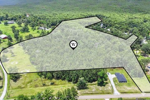 Vacant Land For Sale - TBD HB-3-A Bretz Rd<br/> Springfield, LA 70462